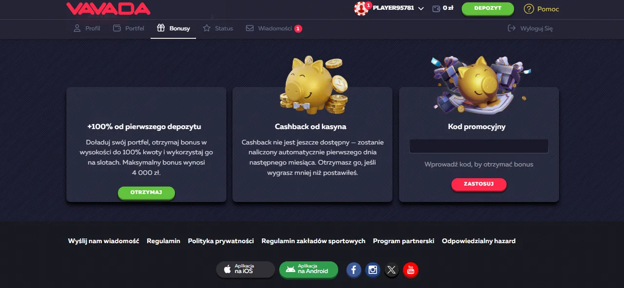 Funkcje i dostępność Kasyna Vavada PL